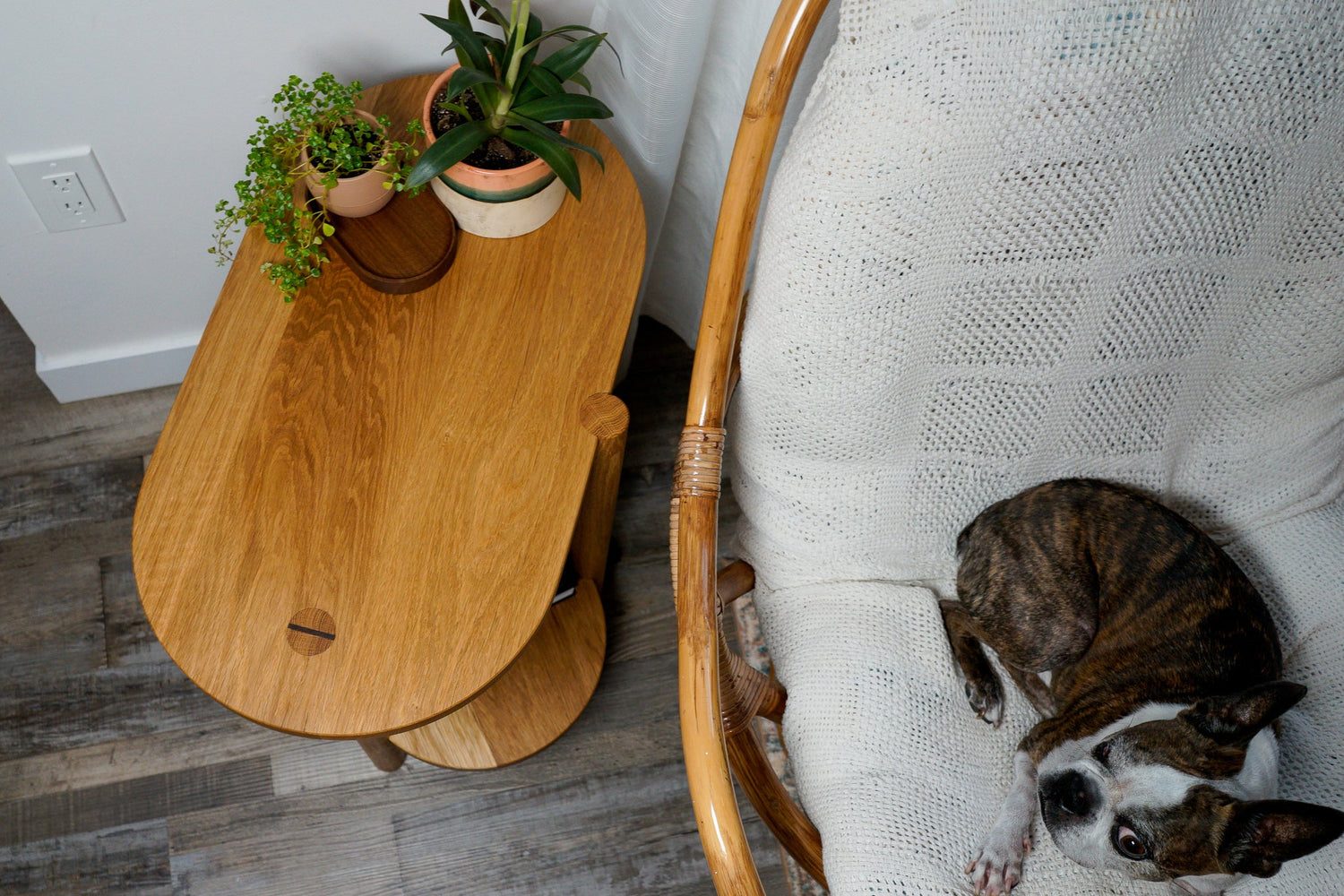 The Beside Table, by Biglow Woodcraft; a wooden table with two plants; next to a chair with a dog. Hardwood White Oak